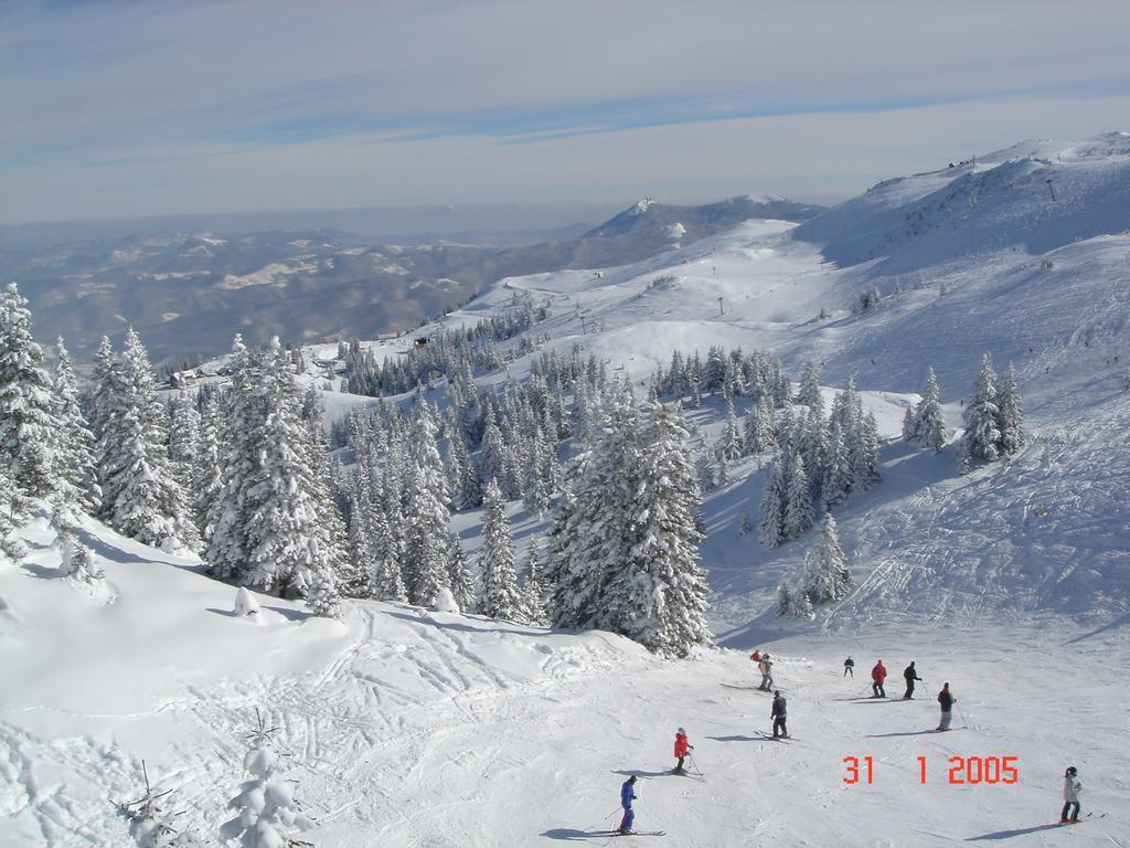 Bed And Breakfast Vila Lala Jahorina Extérieur photo